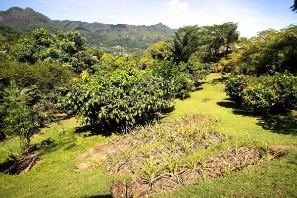 Lemongrass Lodge (Beau Vallon)